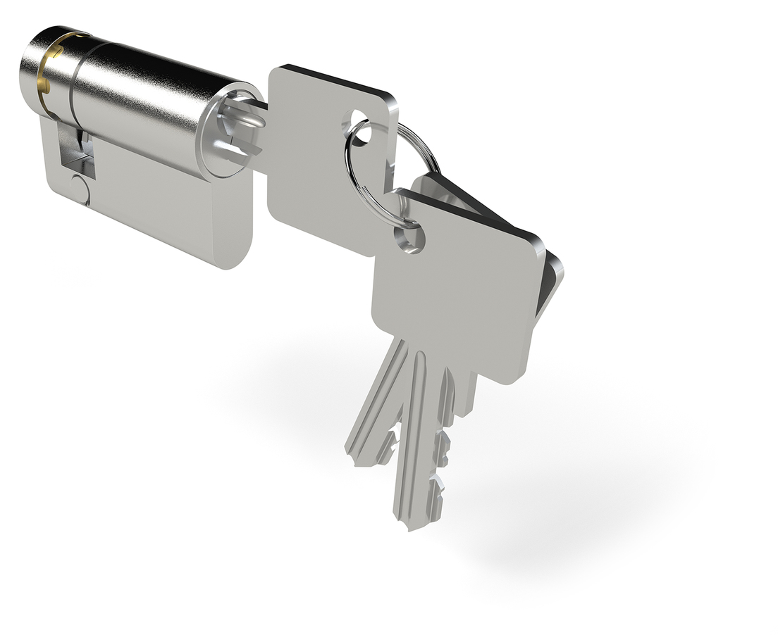 TRESOR Türschloss mit einheitlicher Schlüsselnummer, Figur 210 99 003