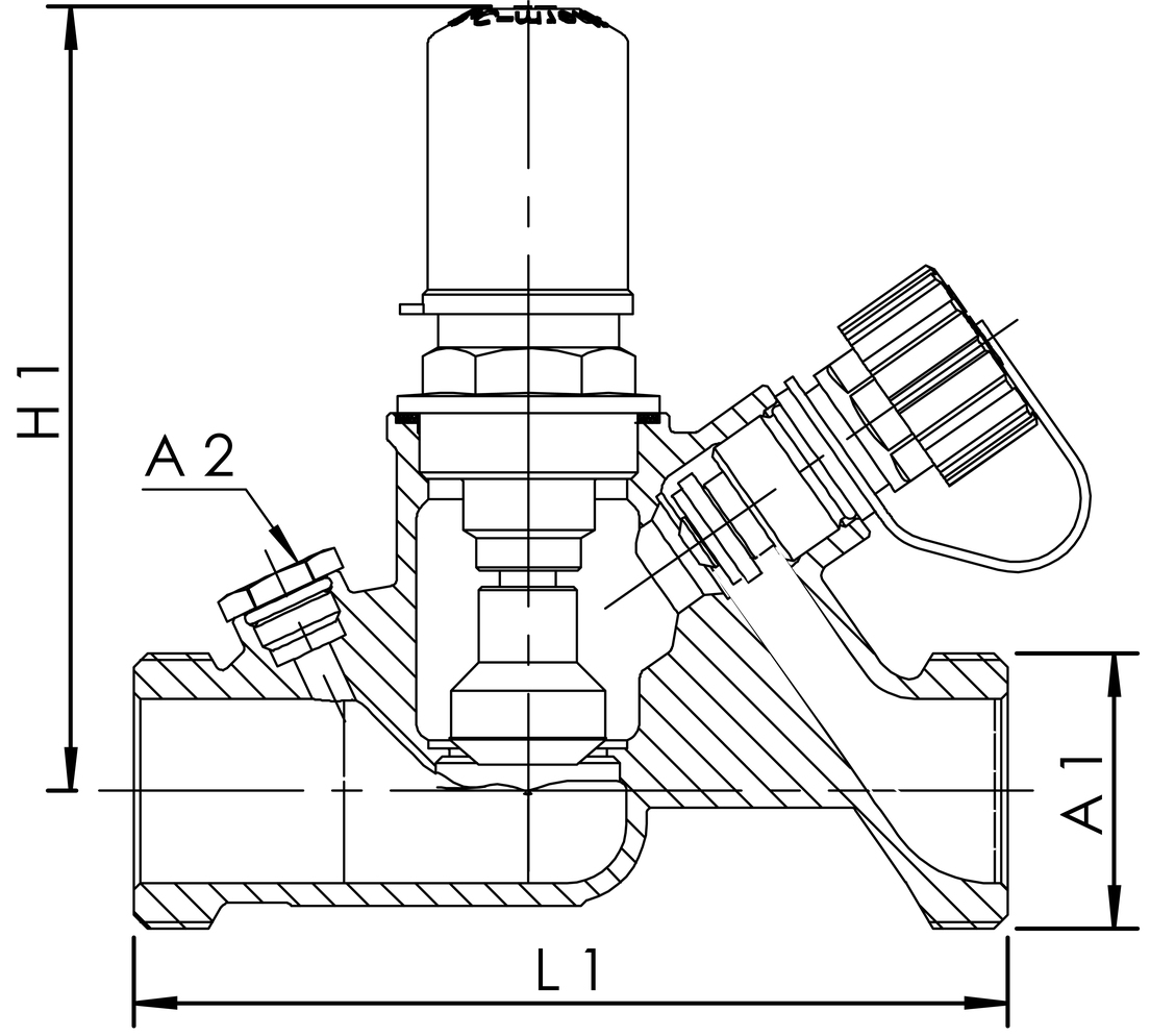 Figura 041 0G